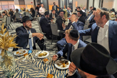 PXL_20240617_005232229-1