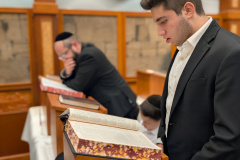 PXL_20241023_012024268.PORTRAIT-2