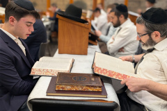 PXL_20241023_012252664.PORTRAIT-1